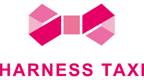 HARNESS TAXI
